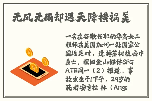 欧美致敬很多经典的黑白mv